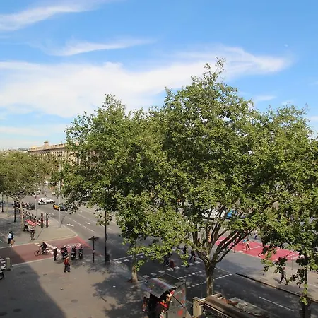 Apartment Colon Bcn 130 Mts 3 Port Vell *
